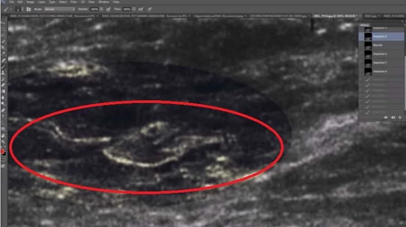 Μεγάλη εγκατάσταση εντοπίστηκε στην Σελήνη;